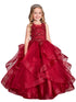 Girls Multi Color Illusion Neckline Lace Applique Trim Pageant Dress 2-12 - SophiasStyle.com